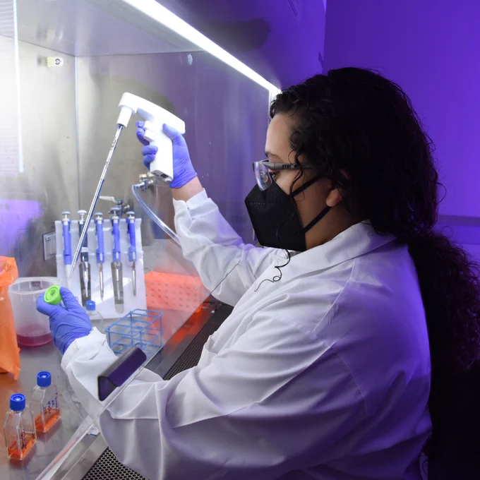 Scientist in a lab coat and gloves using a pipette to transfer liquid inside a sterile biosafety cabinet with test tubes and lab equipment.