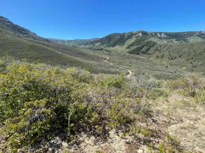 Winding dirt trail cutting through green shrub-covered hills under a clear blue sky.