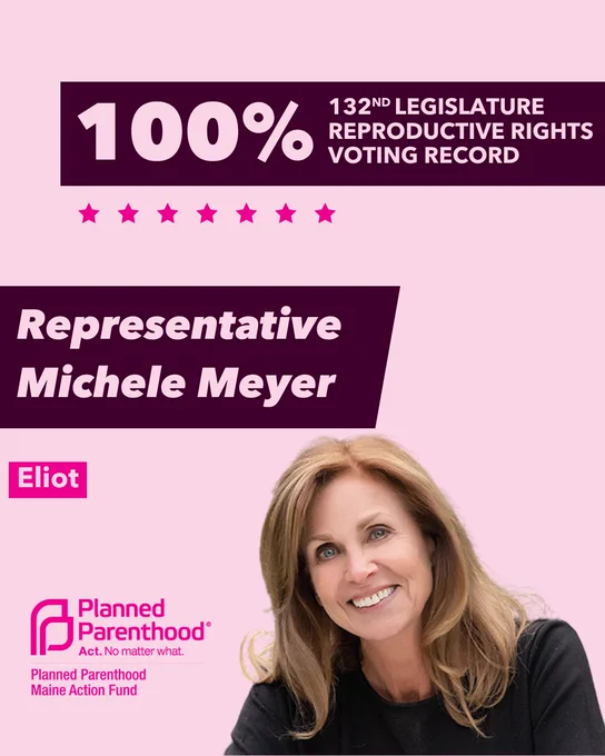 The words "100% 132nd legislature reproductive rights voting record" in light pink font on a maroon rectangle on the top right with a light pink background. Below the rectangle are seven bright pink stars. A photograph of Representative Michele Meyer is below on the right. To the left "Representative Michele Meyer" is written in light pink font on a maroon rhombus and "Eliot" is written below in light pink font on a bright pink background. On the bottom left is the Planned Parenthood Maine Action Fund logo in pink.