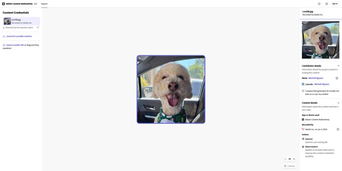 A desktop screenshot of the Adobe Content Authenticity Inspect tool interface. The center panel displays a verified photograph of a light brown poodle-mix dog looking forward and panting happily in a car seat. The left and right sidebars display embedded C2PA metadata, including contributor details for Mitchell Nguyen, actions like watermarking, and recording confirmation by Adobe Inc.