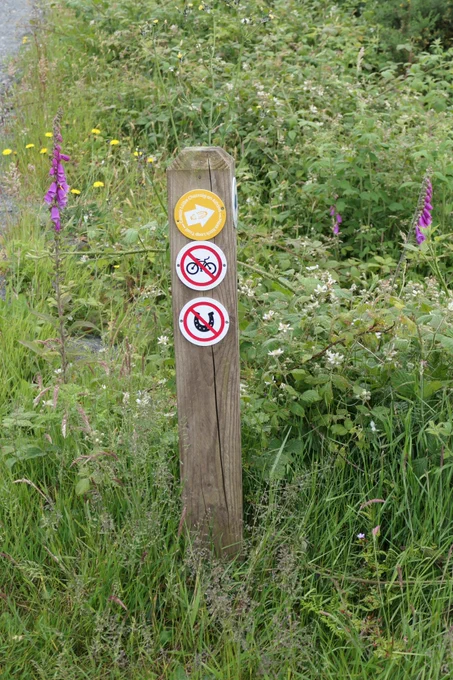 No cycling, and if you're a dung beetle, no luck either