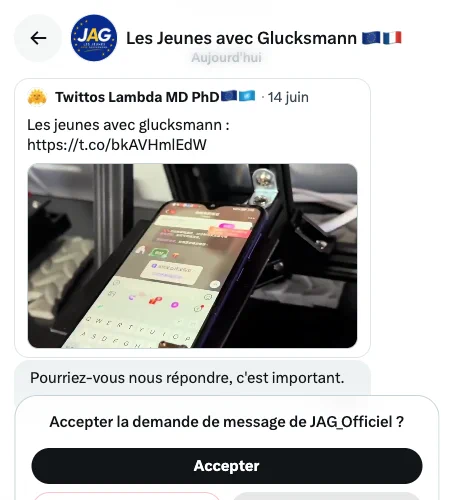 Le compte Les jeunes avec Glucksmann me demande d'accepter son invitation de messages