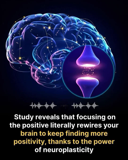 🧠 Did you know? Your brain doesn’t just feel happiness — it learns it 
Imagine a happy moment, a small victory, or a fun interaction… and your brain lights up reward circuits, releasing dopamine & serotonin.

Just a few seconds of positive imagining can rewire your brain to feel joy again and again!

Source: Neuroscience News, 2025 —
“Imagining positive experiences rewires the brain in seconds.”