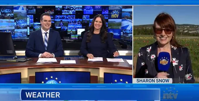 Michael Connors and Toni-Marie Wiseman co-anchor the NTV Evening Newshour while Sharon Snow delivers the weather forecast.