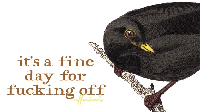 A painting of a bird next to the words "it's a fine day for fucking off"