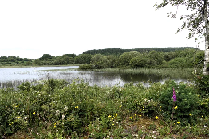 Cashel Lough Upper looking tranquil