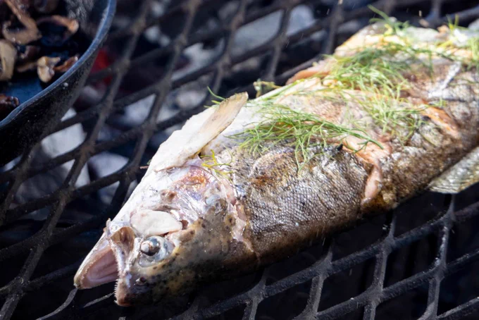 A trout dressed with herbs sits on the grates of a grill