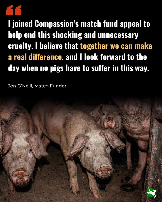 "I joined Compassion's match fund appeal to help end this shocking and unnecessary cruelty. I believe that together we can make a real difference, and i look forward to the day when no pigs have to suffer in this way" - match funder. 