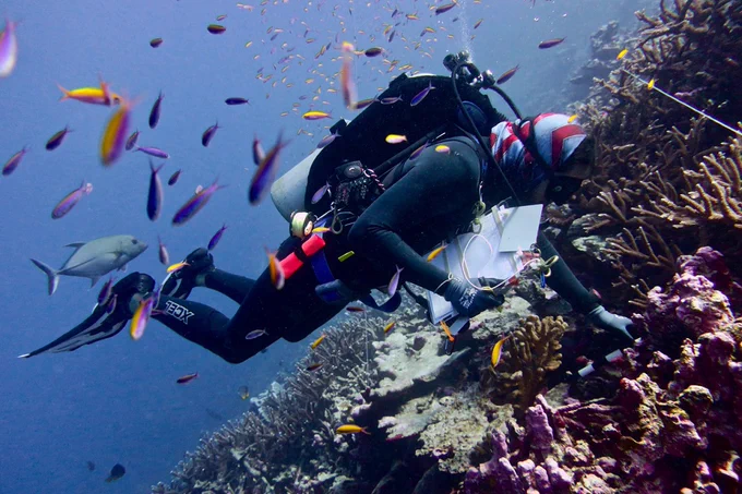 A scuba diver with a clipboard swims over a healthy coral reef slope with many colorful fish surrounding the diver