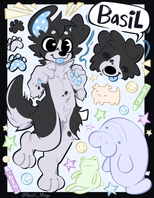 Border collie puppy furry fursona design named Basil 