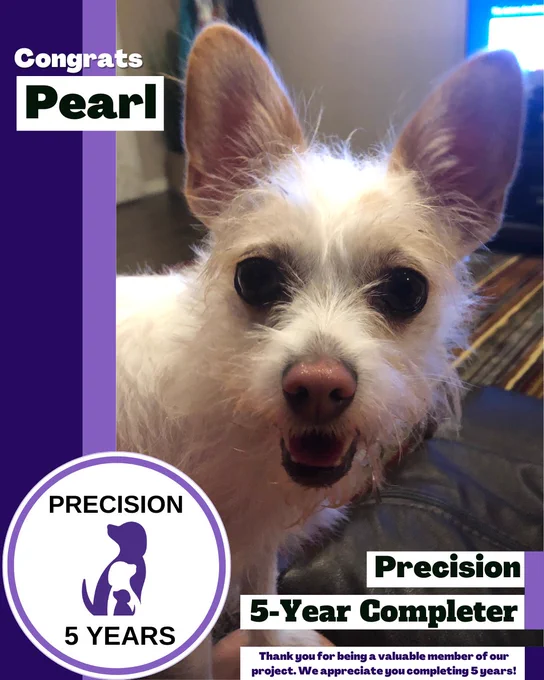 A decorative image of a close-up of a small, white, scruffy dog with large, upright ears and dark eyes, panting with its mouth open, with text that reads, "Precision 5-Year Completer." Thank you for being a valuable member of our project. We appreciate you completing 5 years!