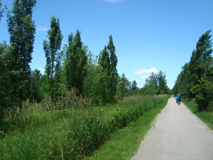 Lisgar Meadow Brook Trail