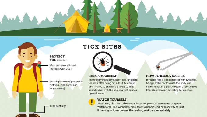 An infographic illustrates tick bite prevention and removal. In the image, a forest scene with a yellow tent and campfire is depicted at the top. Below, a character in protective clothing is labeled with tips: wearing insect repellent with DEET, light-colored clothing, and tucking pant legs. The section "Tick Bites" highlights the importance of checking for ticks and mentions Lyme disease risk. It notes observing symptoms like rash, fever, and joint pain. A magnifying glass shows a tick, and tweezers are used to remove one.