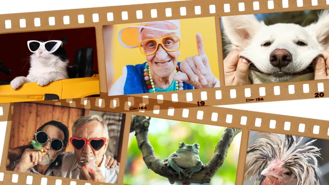 film strips with different photos of animals and people 