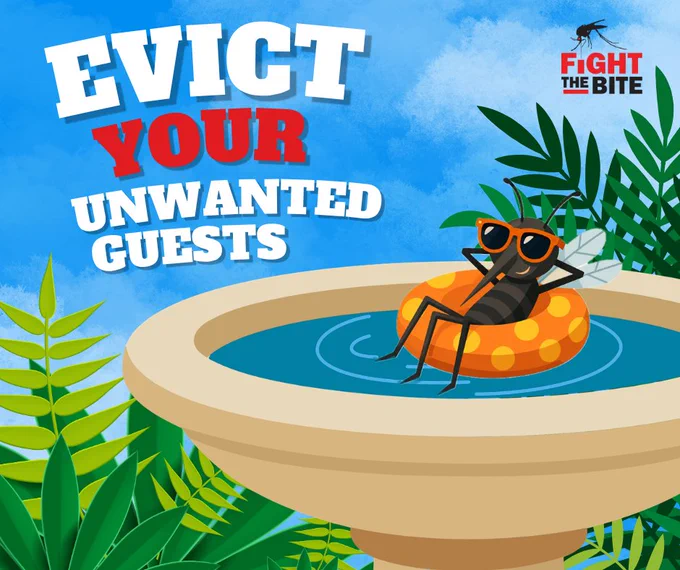 Cartoon mosquito wearing sunglasses relaxing on an orange float in a birdbath surrounded by green plants with text urging to evict unwanted guests.