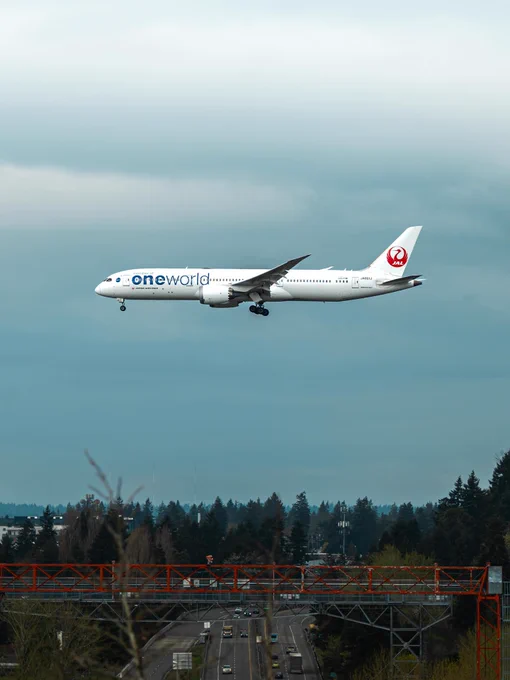 Airplane with \"oneworld\" branding flying over a highway and trees.