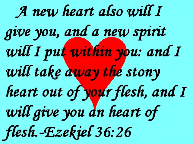 Ezekiel 36:26 AV, which is "A new heart also will I give you, and a new spirit will I put within you: and I will take away the stony heart out of your flesh, and I will give you an heart of flesh," appears on a skyblue background with a red heart in the middle.

