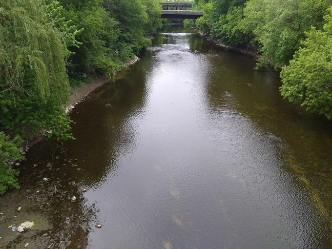 A photo looking down from a bridge at the Thames River in London, Ontario, in the summer. The river is dark brown, and the banks are full of lush green trees