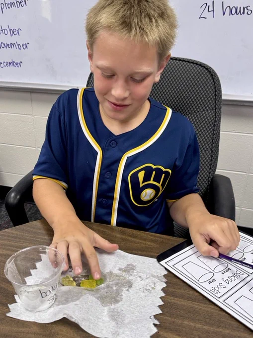 Summer School - Week 1: • Getting-To-Know-You Activities • Unit:  Oceans & Turtles #plainsmenpride