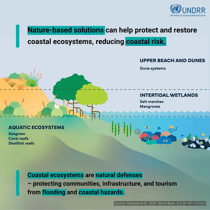 Nature-based solutions can help protect and restore coastal ecosystems, reducing coastal risk. 