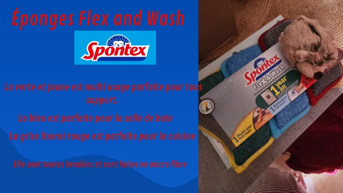 Présentation des éponges flex and wash de spontex