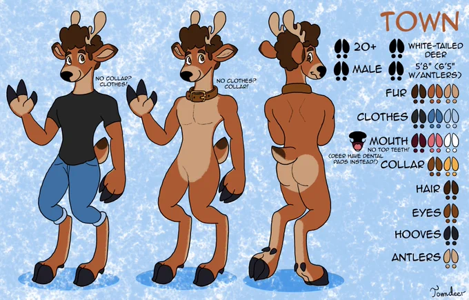 Name: Town
Species: White-tailed deer
Gender: Male
Age: 20 
Height: 5ft. 8 in. (6ft. 5in. with antlers)

Summary: Town is a white tailed deer who acts as my mascot (fursona)!
Personality and Interests: Same as mine! Town is introverted and curious, and loves drawing, cooking, animals and science. Can be very clumsy and empty headed at times, but his true strength comes from his compassion for all people and animals! 

Design notes: He usually wears a black shirt and jeans, but if he doesn't feel like wearing clothes, he wears a collar instead! Deer also don't have a row of top teeth, instead they have something called a dental pad, so the same rule applies to Town as well!

Abilities: Deer