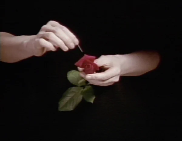 出光真子《Still Life》1993–2000 年 ミクストメディア 東京都写真美術館蔵 ©Mako Idemitsu 
