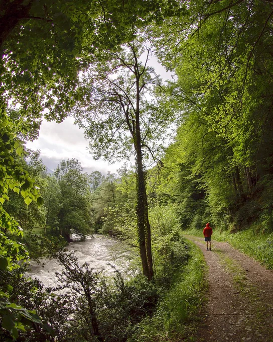 passejar per la Val d’Aran amb el bon temps ☀️