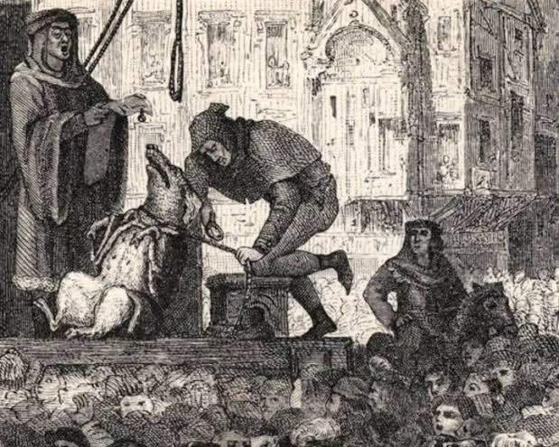 the pig about to be hanged