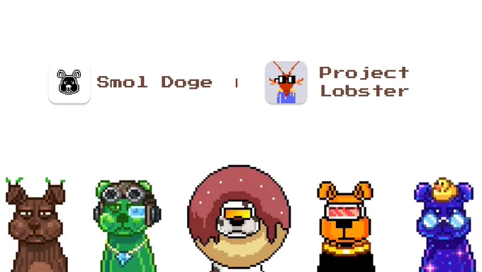 The collaboration between Smol Doge & Project Lobster