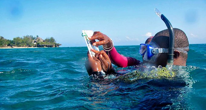 #TravelTuesday #island #escape #conservation #education #ecotourism, #destination #trip #pristine #marineprotectedarea #protectedarea #marine #islands #environment #species #thrive #health #coralreef #reef reefs #experience #endangered #Hawksbill #turtles #greenturtle #water #habitat
#environmental #Tanzania #Africa #African #children #forest #ecology #sustainable #coastal #ecotourism #swim #snorkel #zeroplastic #singleuse #plastic #water #plastics #waste #Zanzibar #recycling #green #mindful #purpose #Chumbe #ChumbeIsland #WorldSeaTurtleDay #WorldRefillDay #DayOfTheAfricanChild #AfricanChildDay 