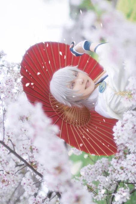 Cadō, amor, valē!
