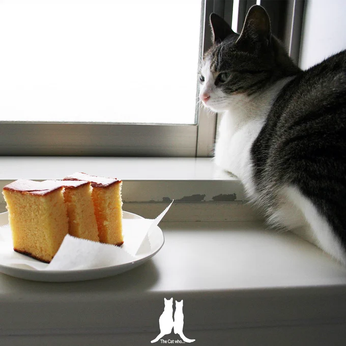 The Cat who....Gerry.