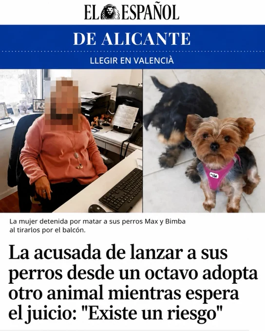 Captura de una noticia de El Español de Alicante sobre el caso de una mujer investigada por la muerte de sus perros tras presuntamente lanzarlos desde un octavo piso en Alicante. La imagen muestra, a la izquierda, a la acusada con el rostro pixelado sentada en una oficina y, a la derecha, a dos perros de raza yorkshire terrier. El titular informa de que la mujer habría adoptado otro perro mientras espera juicio, lo que ha generado preocupación entre asociaciones de protección animal por el posible riesgo para el nuevo animal.