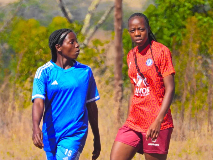 Two soccer players, one in a blue jersey and the other in a red patterned jersey, walk side by side on a field. The background features greenery and a sunny outdoor setting.