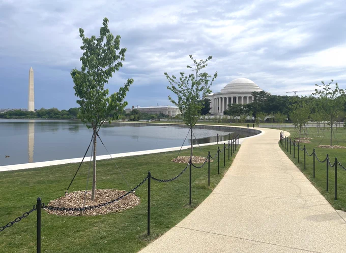 Newly rebuilt Tidal Basin walkway with young trees, the Washington Monument reflected in the water and the Jefferson Memorial visible in the background.