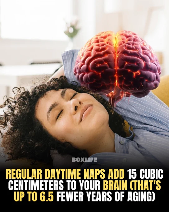 A person napping on a couch with a digital brain illustration overlay, suggesting health benefits of regular daytime naps.