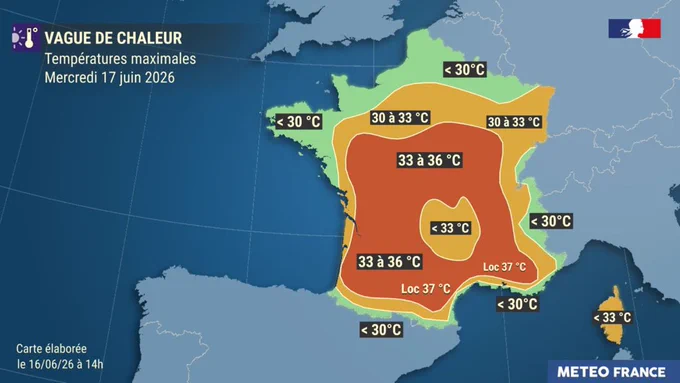 Carte mercredi