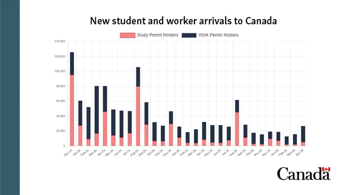 Bar graph showing the monthly number of study and work permits issued in Canada from December 2023 to April 2026. The number of new workers and students arriving in Canada continued to decline in 2026. For the period from January to March 2026, Canada saw 73% fewer arrivals of new students and temporary workers compared to 2024. The full data is available at the link in the post.