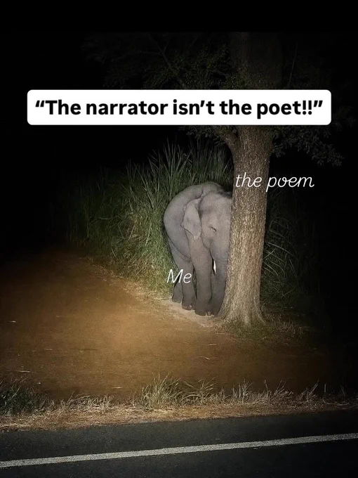 Picture of an elephant hiding behind a skinny tree with the caption “the narrator isn’t the poet!” 

the tree is labeled “the poem” and the elephant is labeled “me”