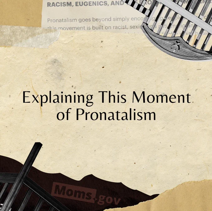 A square graphic with a light tan background. Black text in the center reads: "Explaining This Moment of Pronatalism." At the bottom, there is a screenshot of the "Moms.gov" website header, tinted black and red. In the top right and bottom left corners, there are fragments of baby cribs. At the top, there is a clip of an article on Racism, Eugenics, and Pronatalism from the National Women's Law Center.