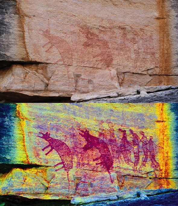 Tasmanian tiger rock art (📸 Joakim Goldhahn)