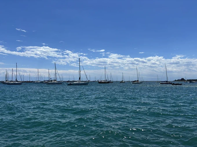 sailboats in lake michigan