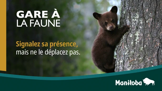 Texte : Gare à la faune. Signalez sa présence, main ne le déplacez pas.