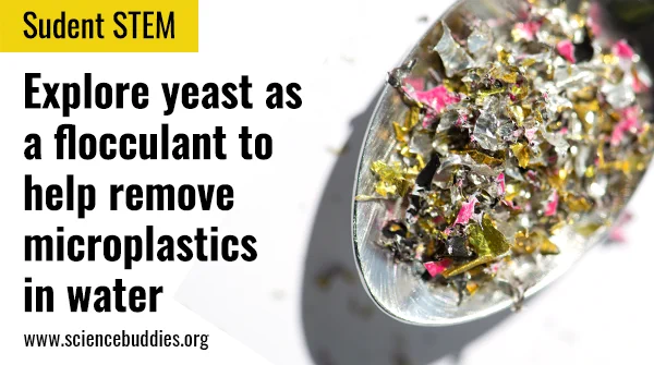 Image of glitter on a spoon as part of a bioremediation project
