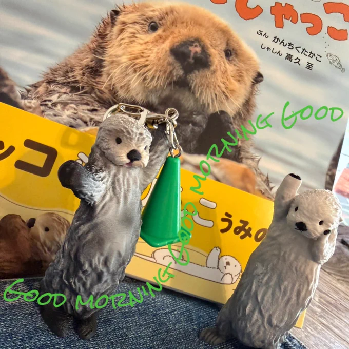 新しいラッコ本🦦📖とちびメイキラ🦦🦦