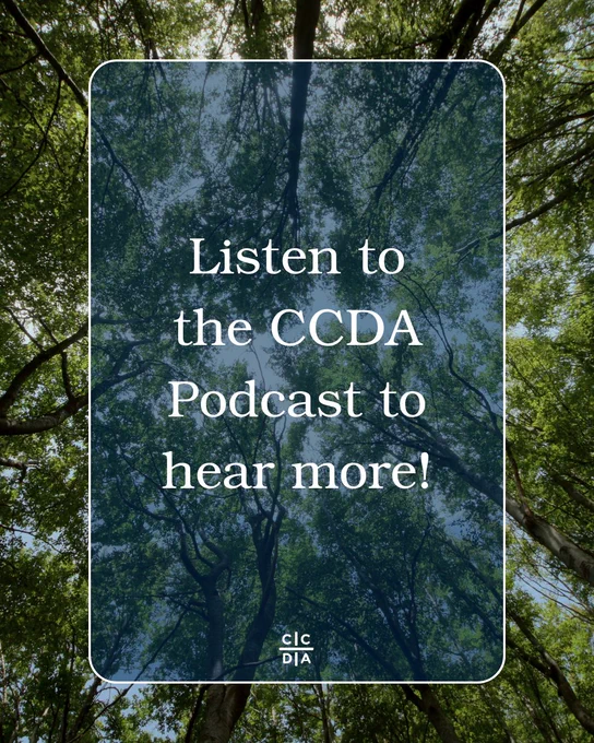 Listen to the CCDA Podcast to hear more!