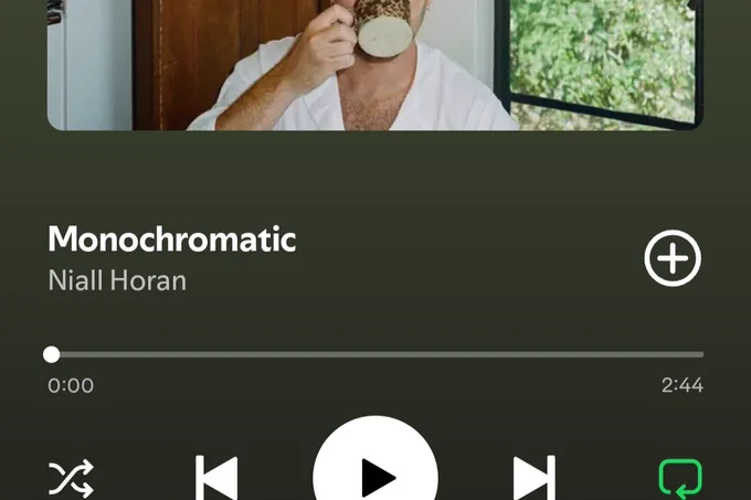 Spotify playing Monochromatic by Niall Horan 