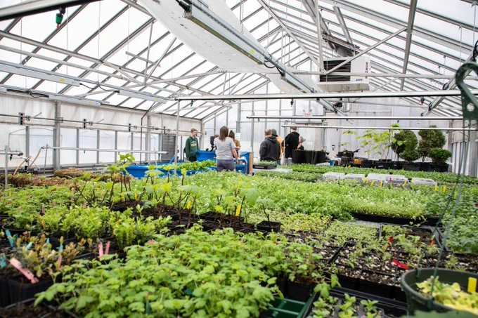 Inside a spacious greenhouse at Gateway, rows of green seedlings and plants grow under a glass roof with several people tending to them in the background.