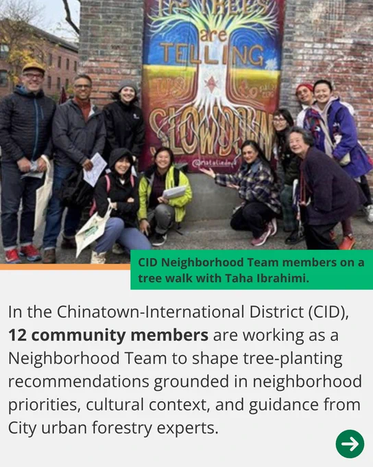 In the Chinatown-International District (CID), 12 community members are working as a Neighborhood Team to shape tree‑planting recommendations grounded in neighborhood priorities, cultural context, and guidance from City urban forestry experts. CID Neighborhood Team members on a tree walk with Taha Ibrahimi. 